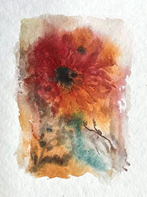 placeholder image-sq