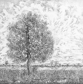 placeholder image-sq