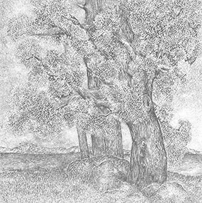 placeholder image-sq