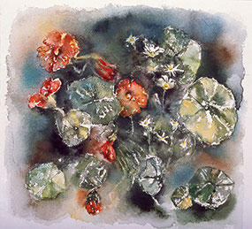 placeholder image-sq