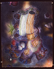 placeholder image-sq